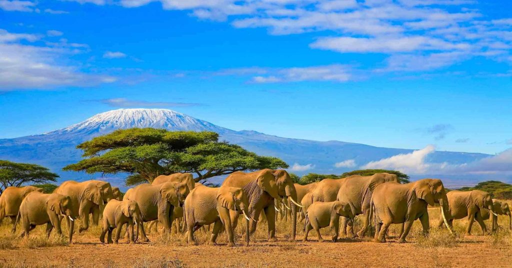 kenyan landscapes